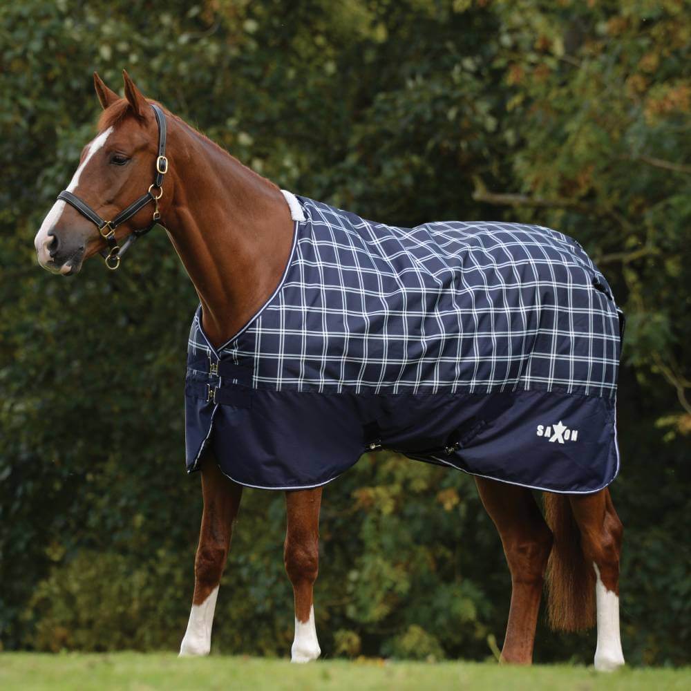 Chestnut horse in Saxon Defiant 600D Standard Neck Lite Navy Plaid stands on grass.