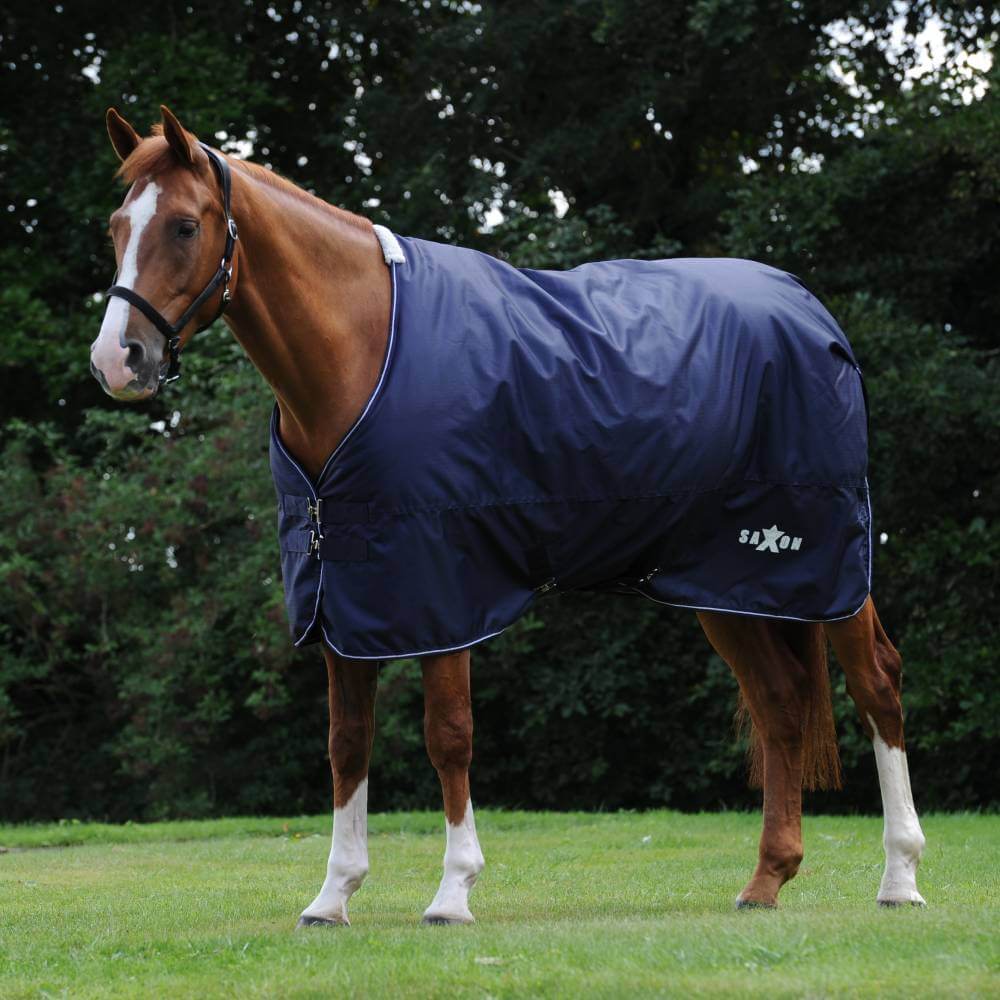 A chestnut horse wears a Saxon Defiant 600D Lite rug on grass with trees in the background.