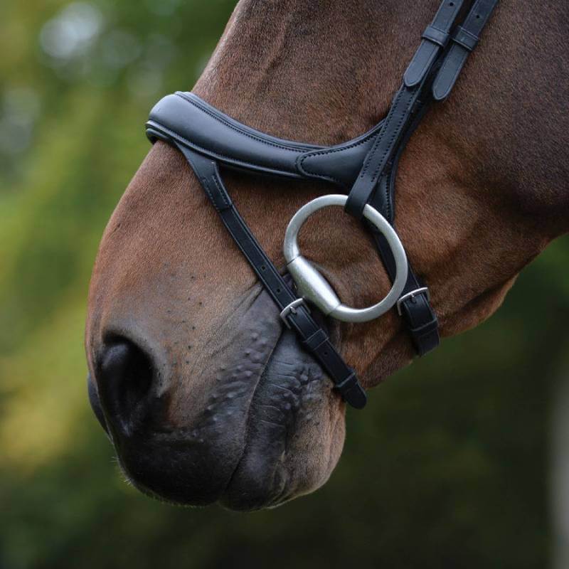 Close-up of a horse’s muzzle in the Collegiate Comfitec Vogue Anatomical Bridle Black outdoors.