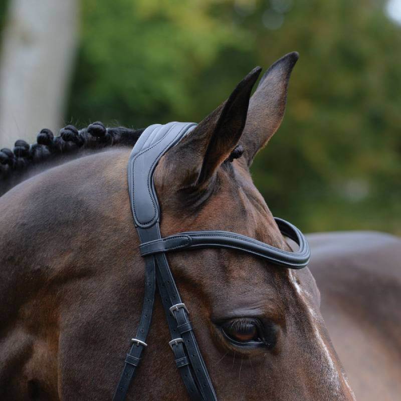 Close-up of a brown horse in Collegiate Comfitec Vogue Anatomical Bridle Black, outdoors.
