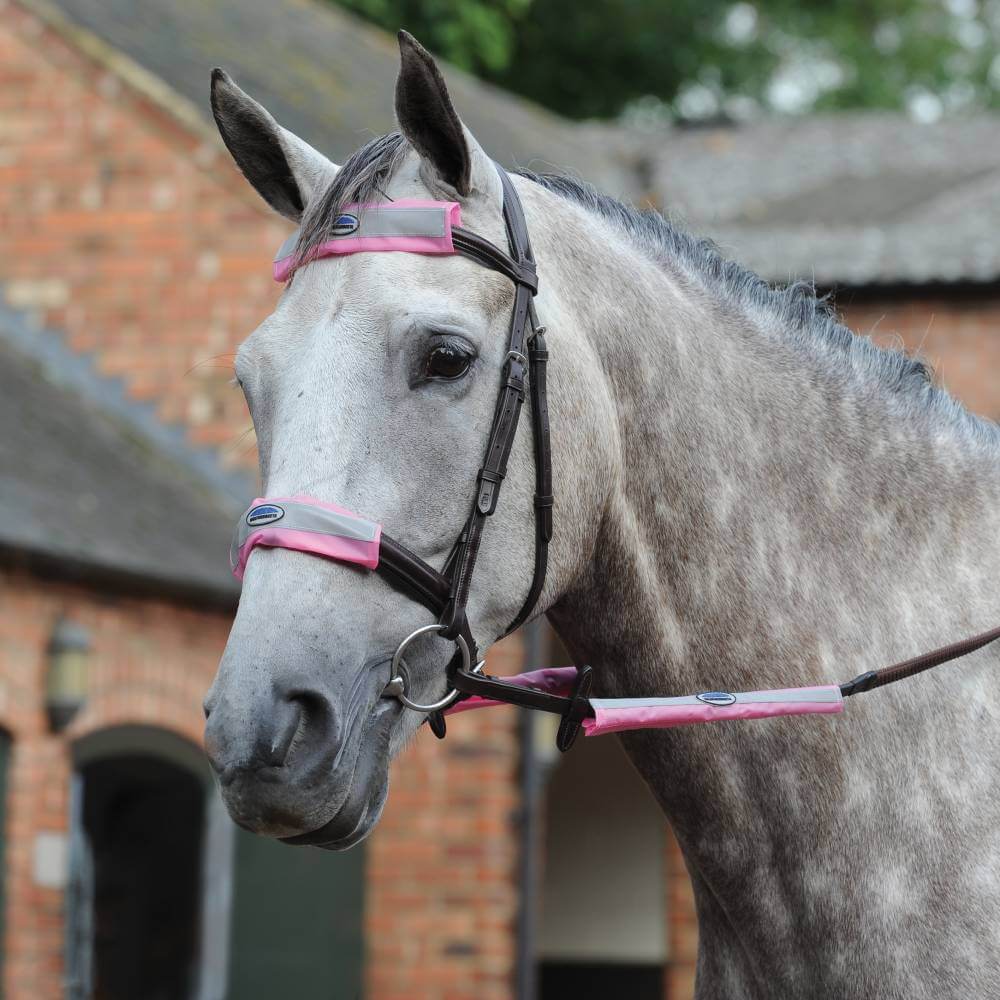 A gray horse wears a Weatherbeeta Reflective Bridle Kit 4 Piece Pink in front of a brick building.