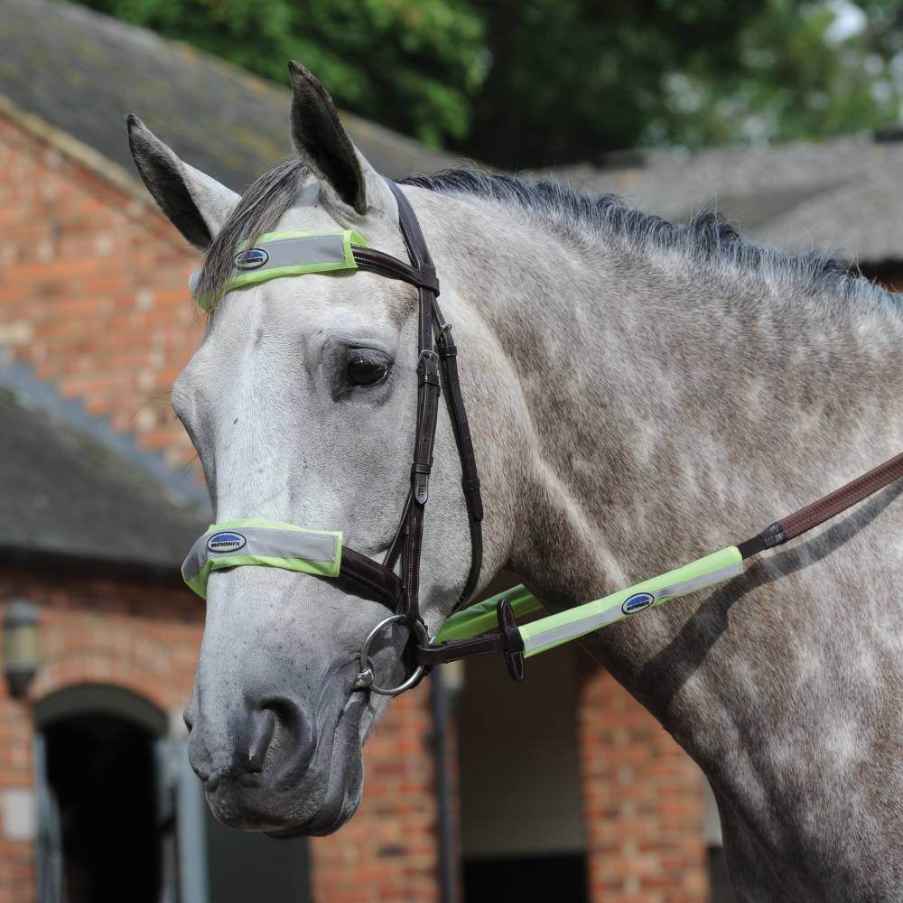 A horse wears a Weatherbeeta Reflective Bridle Kit in yellow, enhancing its visibility and safety.