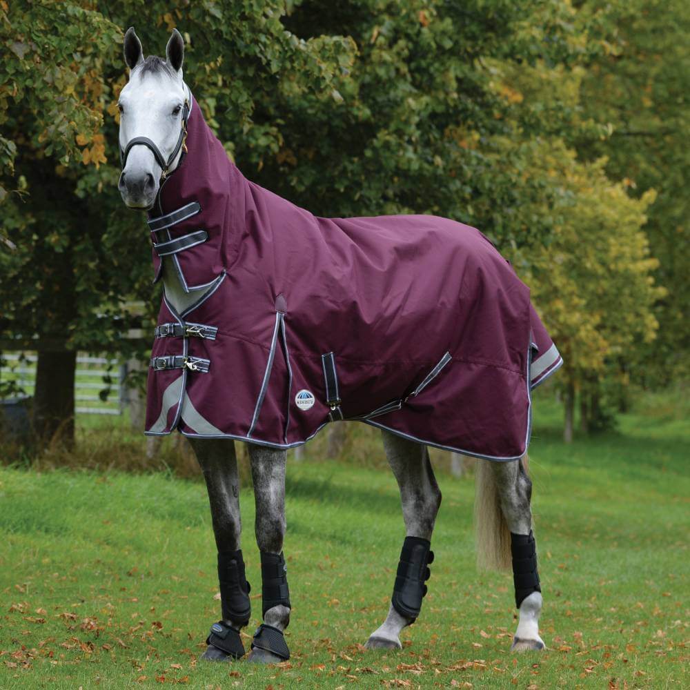 A gray horse in a Weatherbeeta maroon-grey rug stands on grass by trees with black leg wraps.
