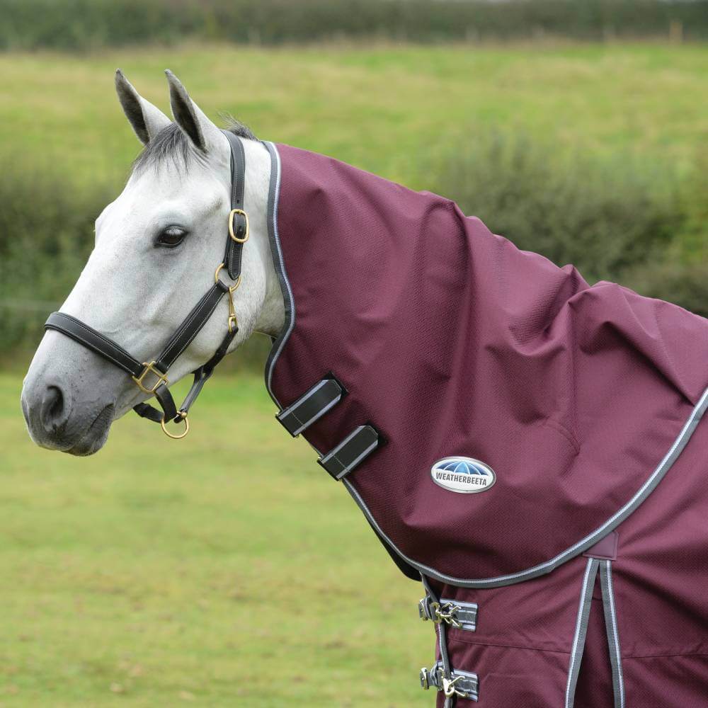 A horse in a maroon Weatherbeeta Comfitec Plus Dynamic II neck rug grazes in a grassy field.