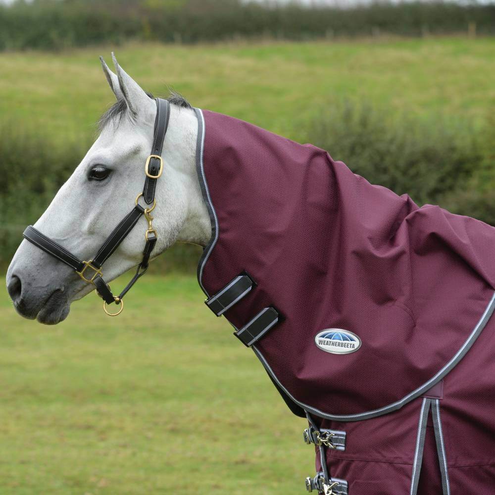 Grey horse wears WeatherBeeta Comfitec Plus Dynamic II Neck Rug Lite Maroon/Grey/White in field.