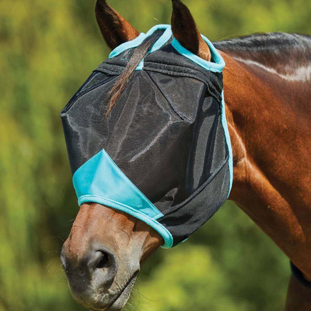 Brown horse outdoors in a Weatherbeeta Comfitec Deluxe Mesh Mask in Black/Turquoise.