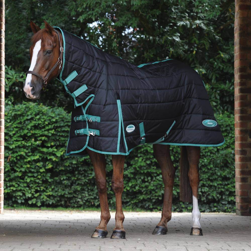 A horse in a Weatherbeeta Green-Tec Stable Combo Neck blanket stands near greenery.