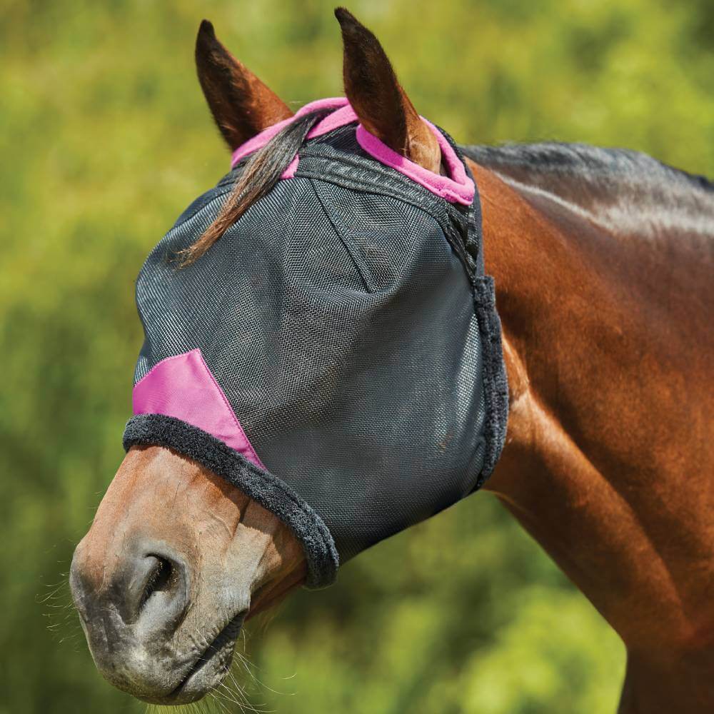 Brown horse wears Weatherbeeta Comfitec Deluxe Mesh Mask Black/Purple with ear coverage outdoors.