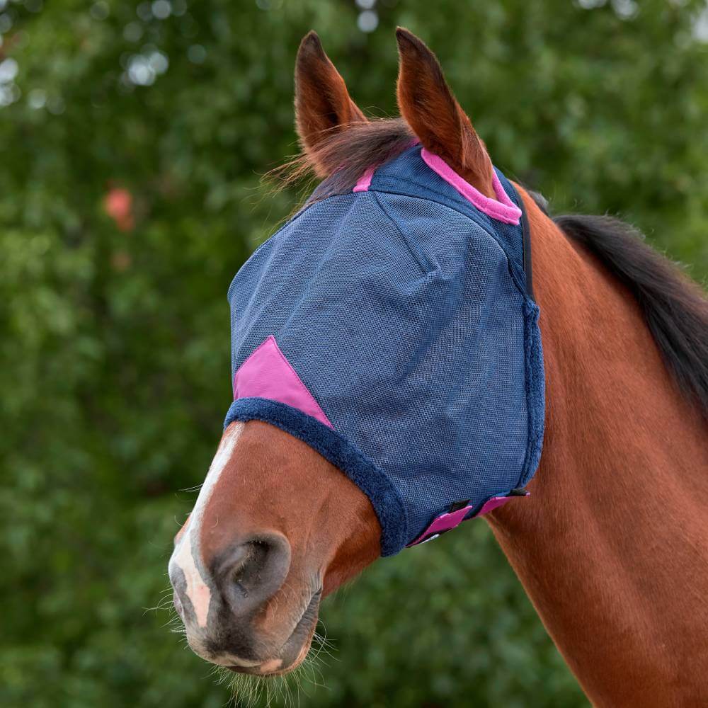 A brown horse wears a Weatherbeeta Comfitec Deluxe Mesh Mask in navy and purple.