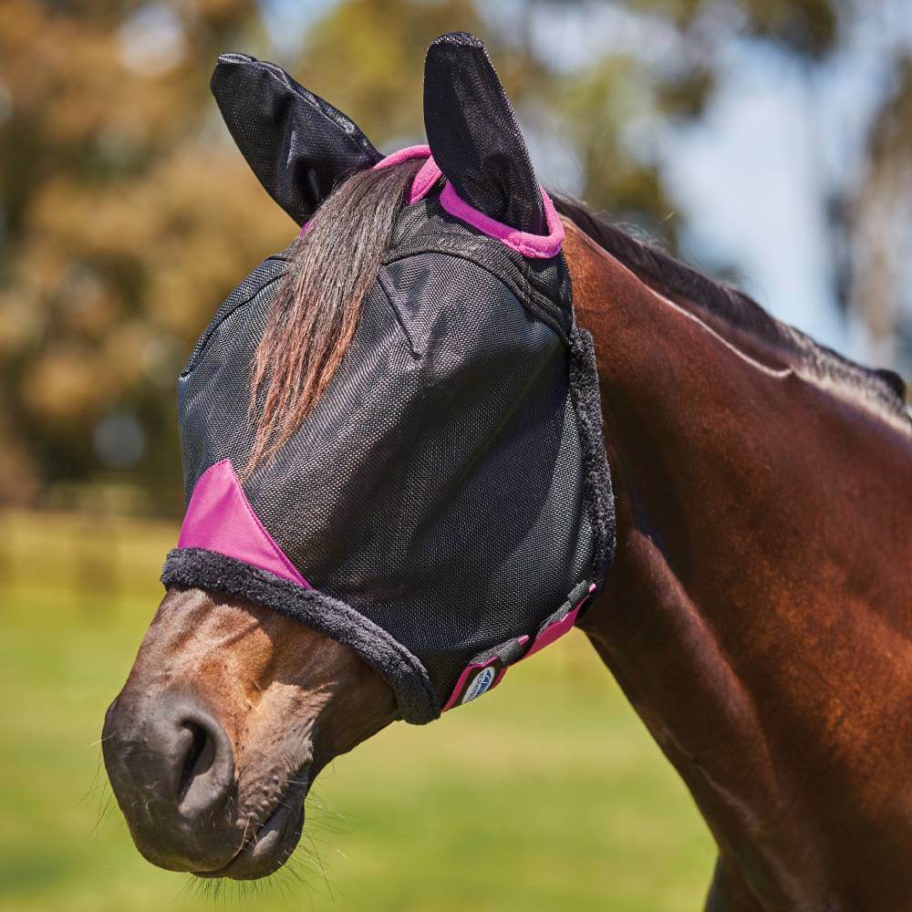 A horse outdoors wears the Weatherbeeta Comfitec Deluxe Mesh Mask With Ears in Black/Purple.