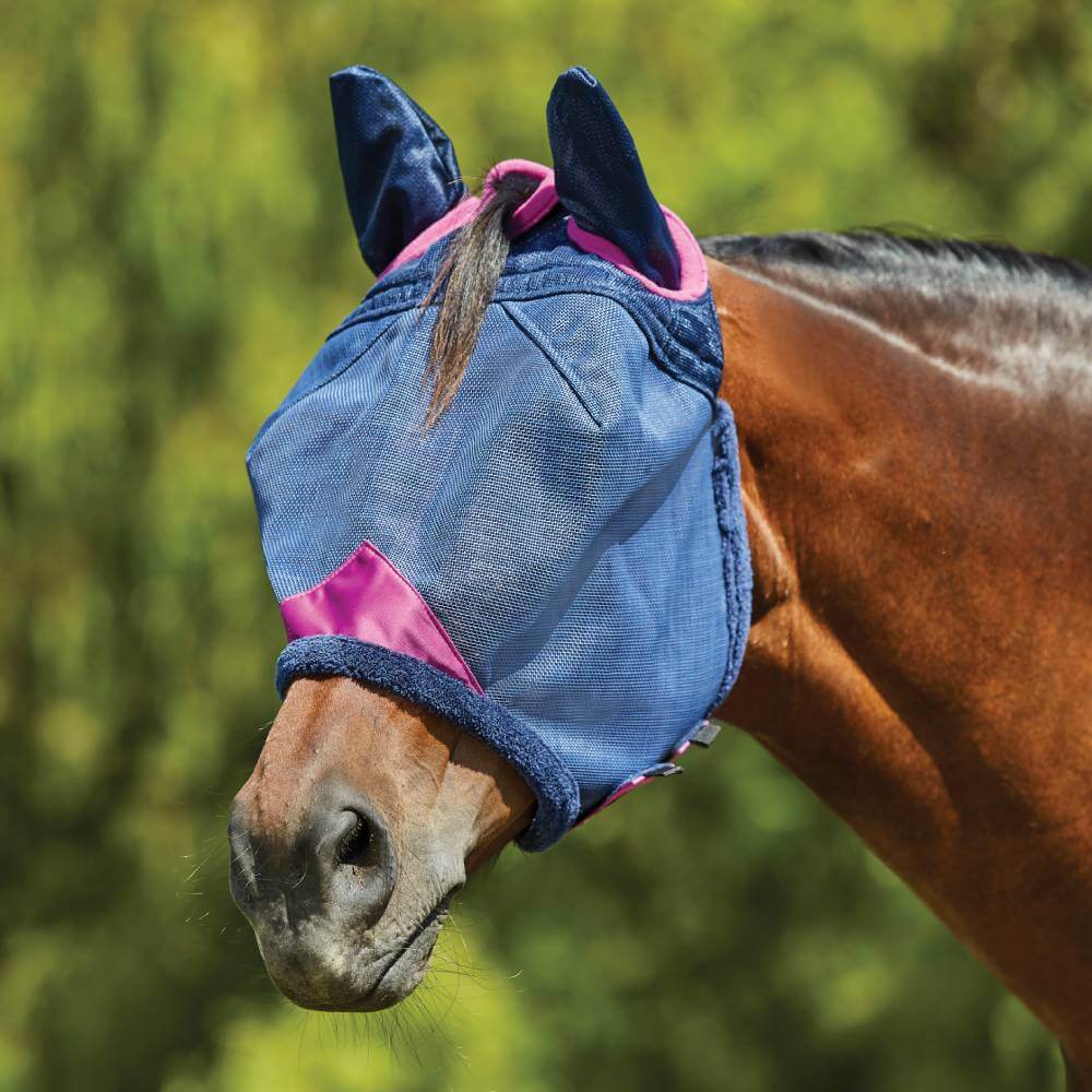 Brown horse wears Weatherbeeta Comfitec Deluxe Mesh Mask With Ears Navy/Purple outdoors.