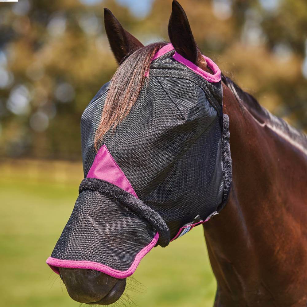 A horse in a Weatherbeeta Comfitec Deluxe Mesh Mask With Nose, black/purple, with UV protection.