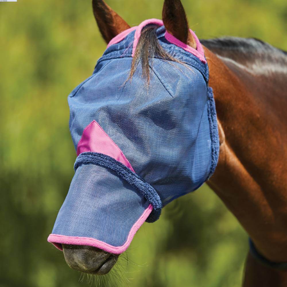 A brown horse in a Weatherbeeta navy/purple mesh mask with nose coverage.