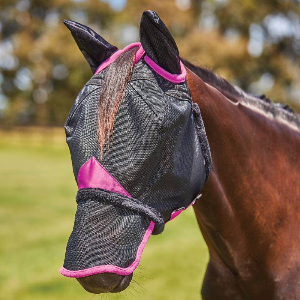 Brown horse in Weatherbeeta Comfitec Deluxe Mesh Mask With Ears &amp; Nose, Black/Purple.