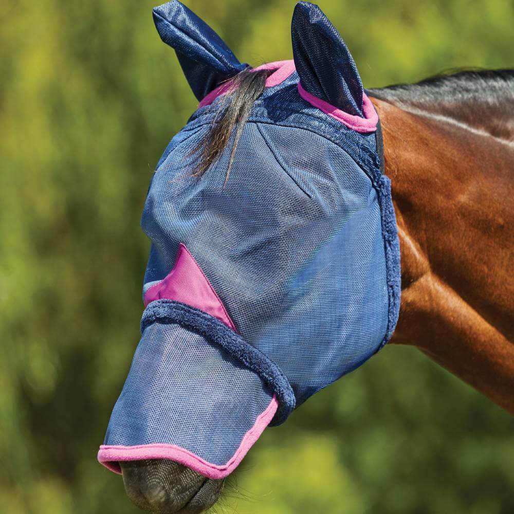 A horse wears a Weatherbeeta Comfitec Deluxe Mesh Mask with ears &amp; nose in navy/purple.