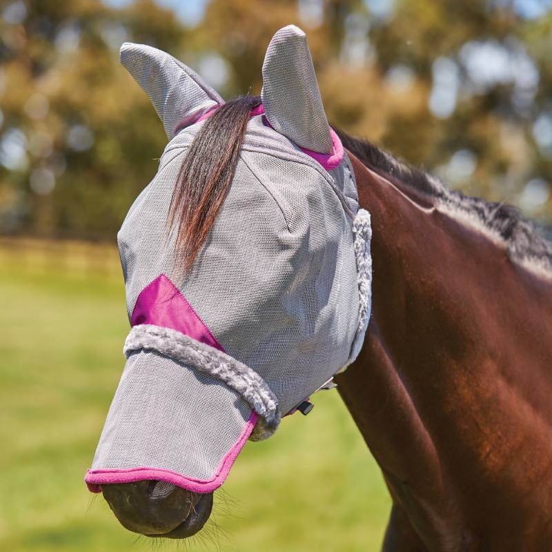 A horse in a Weatherbeeta grey/purple mesh mask with ears &amp; nose grazes in a field.