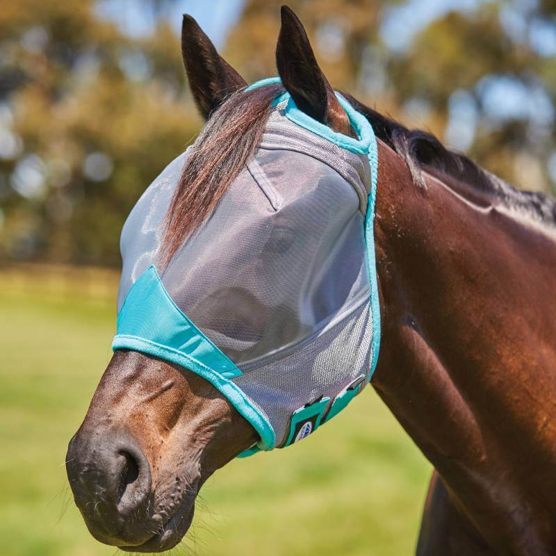 Brown horse wears a Weatherbeeta Comfitec Deluxe Fine Mesh Mask Grey/Turquoise outdoors.