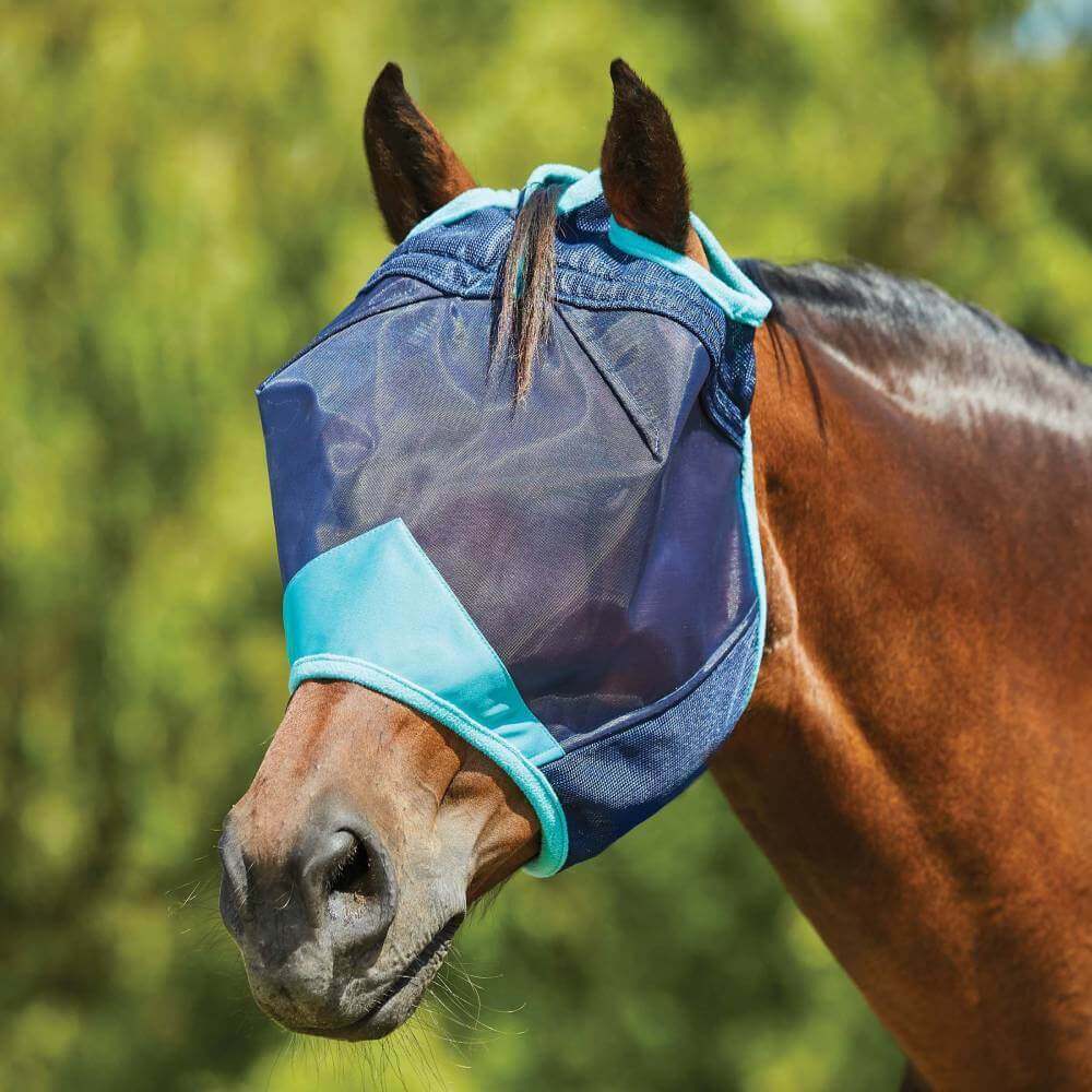 A brown horse outdoors in a Weatherbeeta Comfitec Deluxe Fine Mesh Mask Navy/Turquoise.