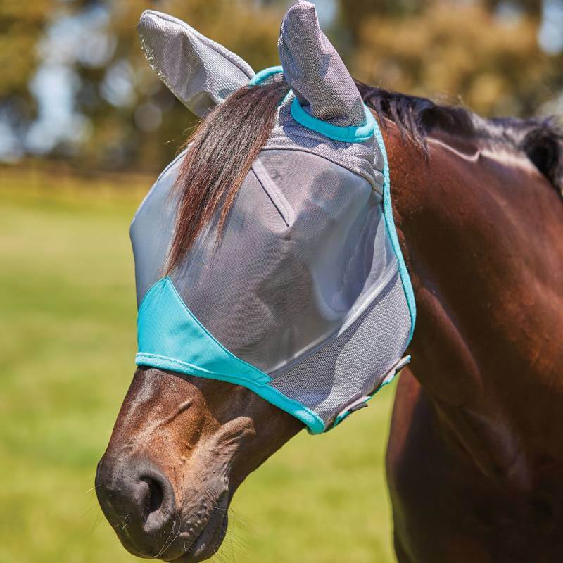 A brown horse wears a Weatherbeeta Comfitec Deluxe Fine Mesh Mask With Ears Grey/Turquoise.