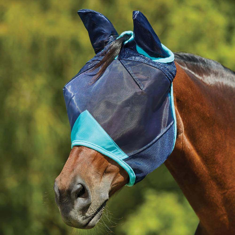 Brown horse outdoors in Weatherbeeta Comfitec Deluxe Fine Mesh Mask with Ears Navy/Turquoise.