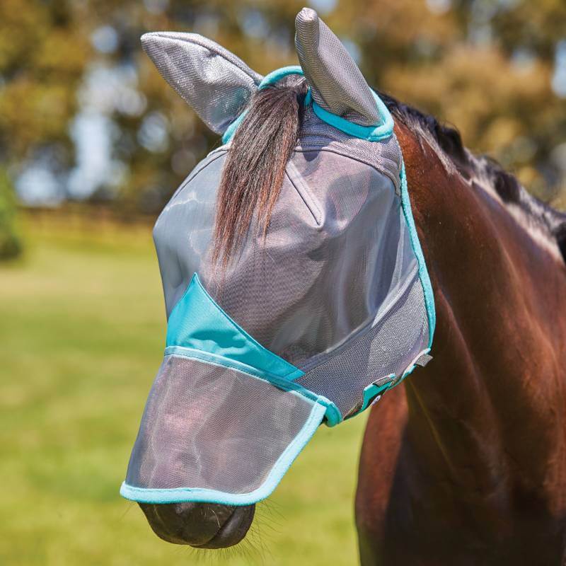 A horse wears a Weatherbeeta Comfitec Deluxe Mesh Mask with Ears &amp; Nose in Grey/Turquoise.