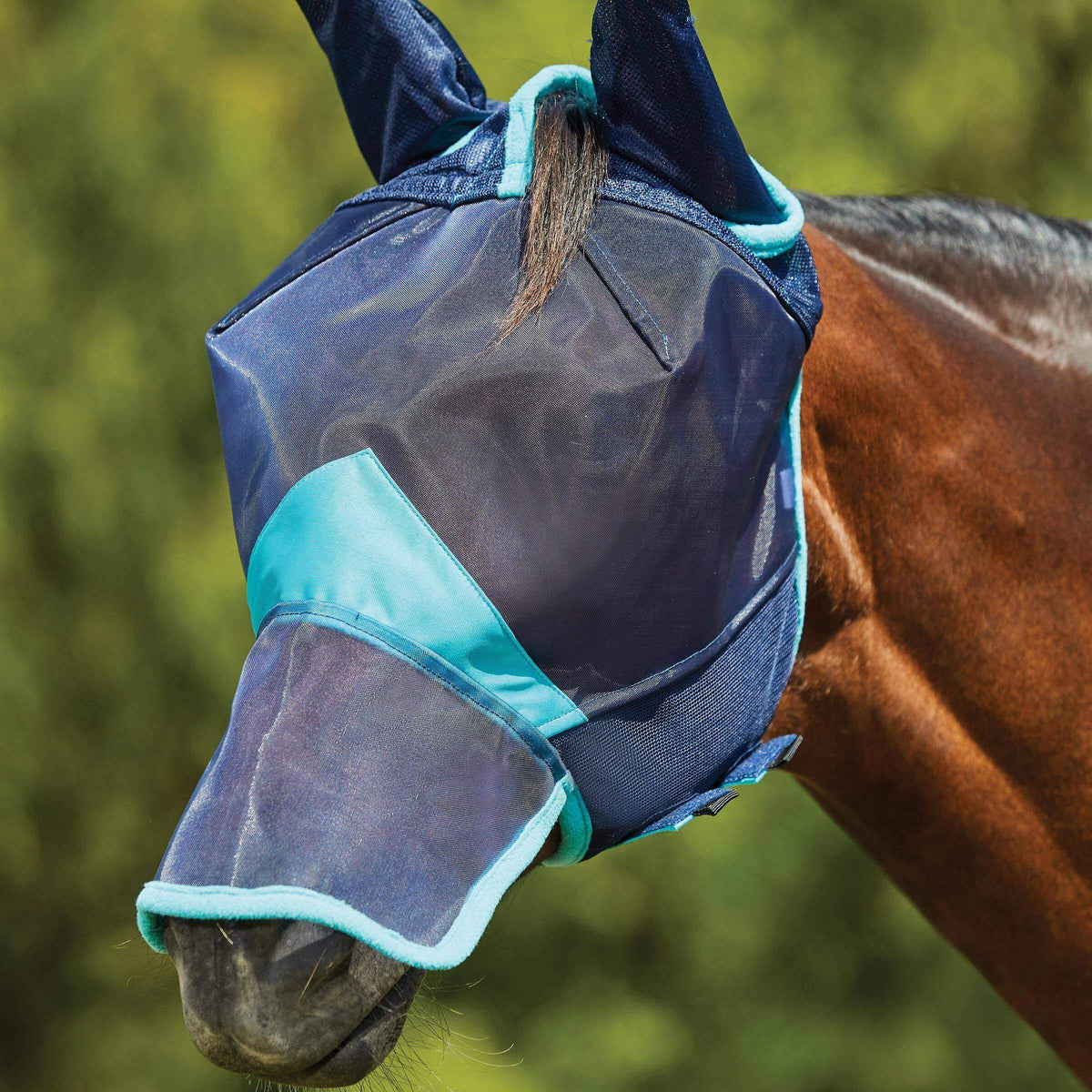 Chestnut horse outdoors in a Weatherbeeta Comfitec Deluxe Mesh Mask with Ears &amp; Nose Navy/Turquoise.