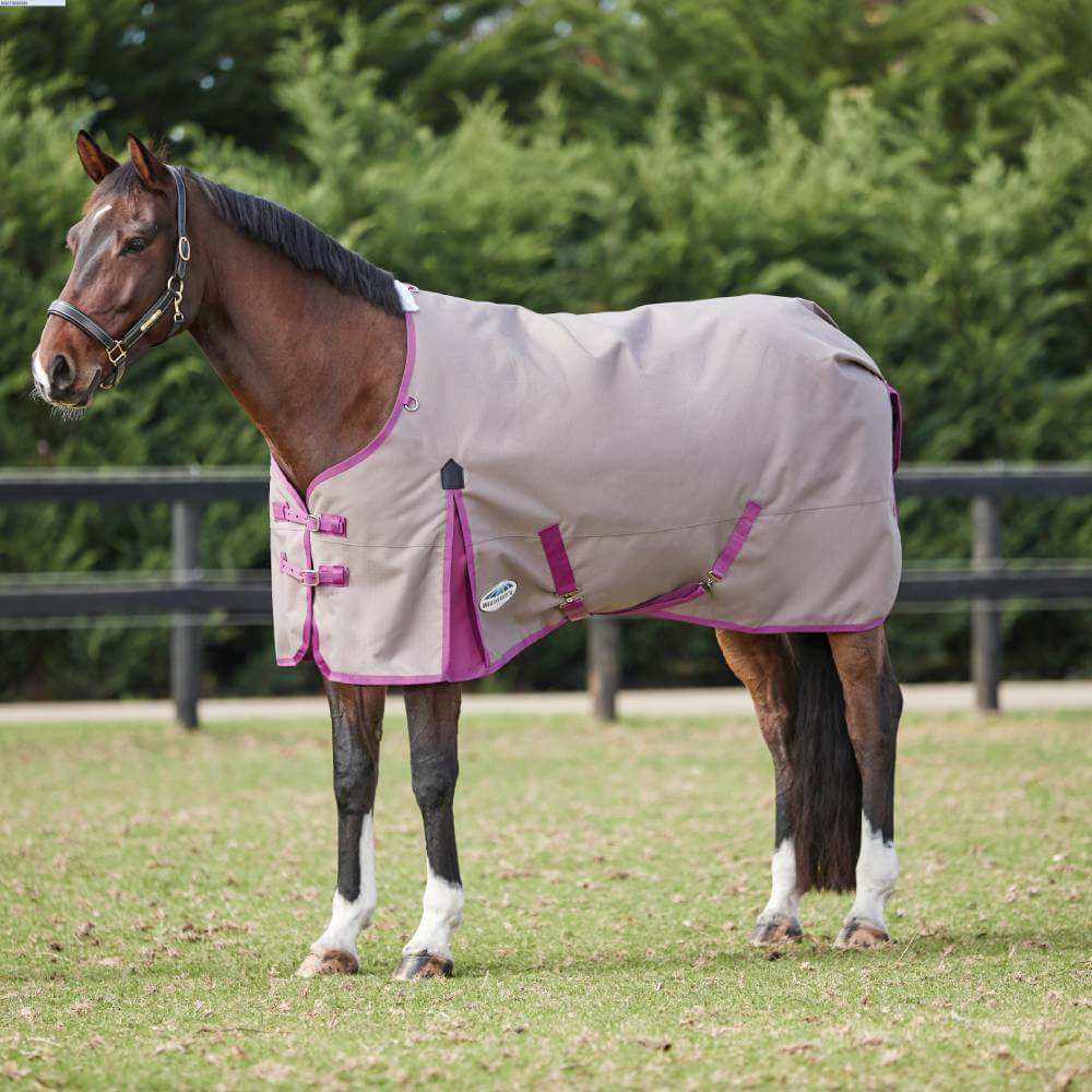 A horse in a Weatherbeeta ComFiTec Essential Standard Neck Lite stands on grass by a fence.