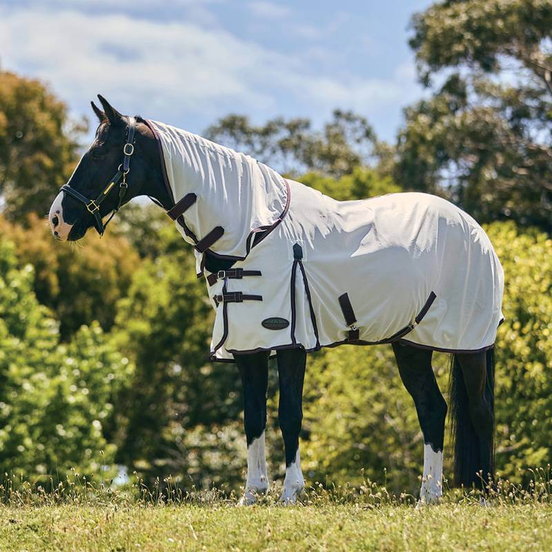 A black horse in a Weatherbeeta Comfitec Essential Mesh II rug stands on grass with trees.
