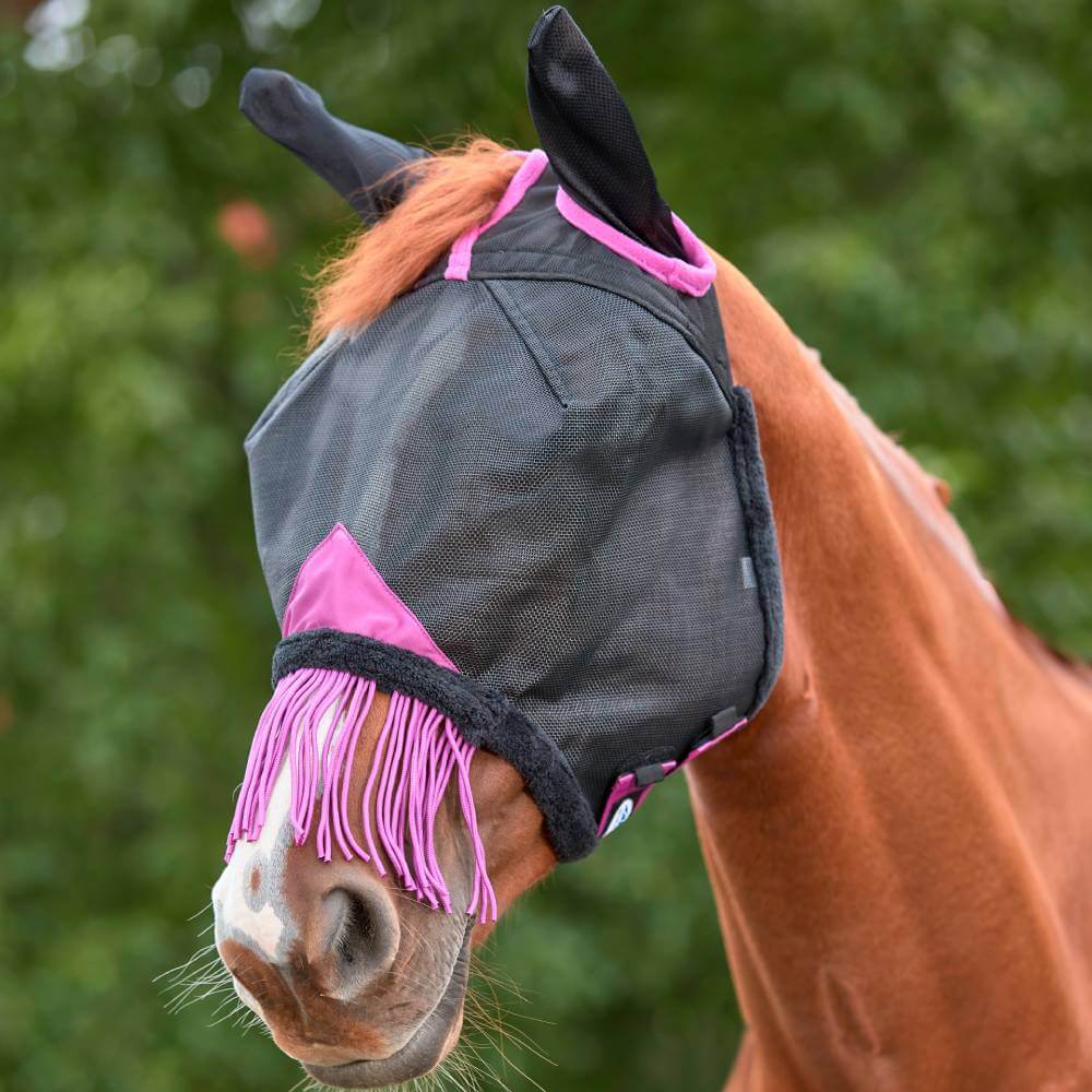 A horse wears a Weatherbeeta mesh mask with ears and tassels in black/purple.