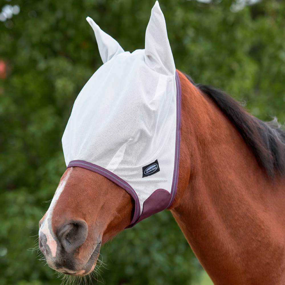 A horse outdoors wears a Weatherbeeta Comfitec Essential Mesh Mask in white/maroon/grey.