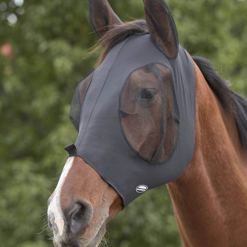 Brown horse in Weatherbeeta Deluxe Stretch Bug Eye Saver with Ears, outdoors by green trees.