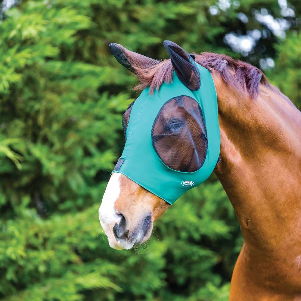 Brown horse in a Weatherbeeta Deluxe Stretch Bug Eye Saver with Ears, hunter/black.