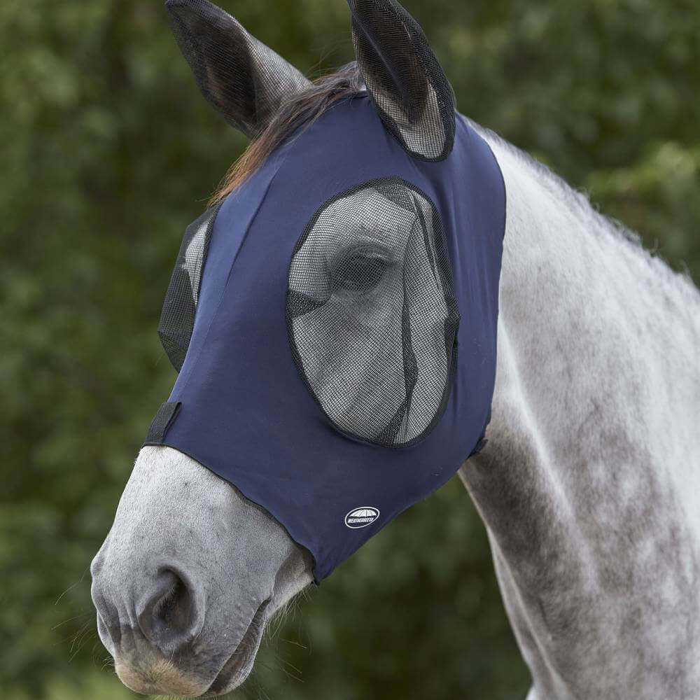 A gray horse outdoors wearing the Weatherbeeta Deluxe Stretch Bug Eye Saver with Ears navy/black.