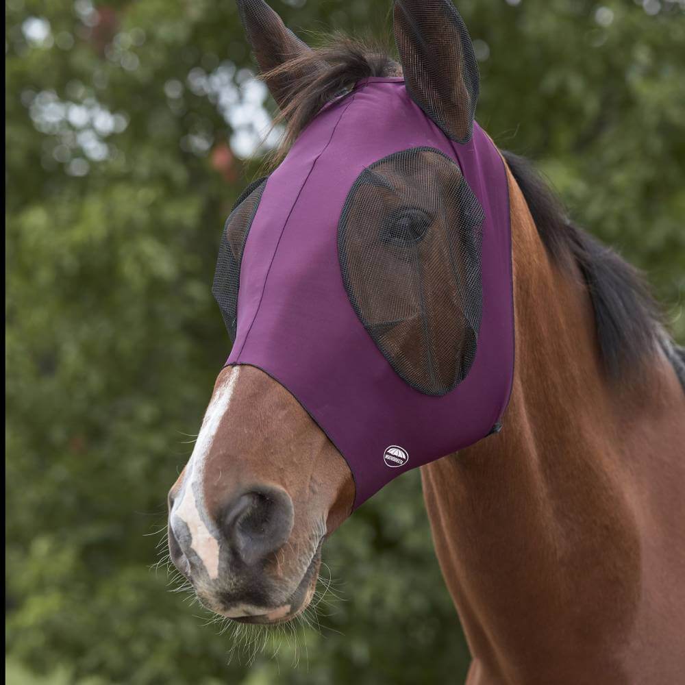 A horse outdoors in a Weatherbeeta Deluxe Stretch Bug Eye Saver with Ears in purple/black.