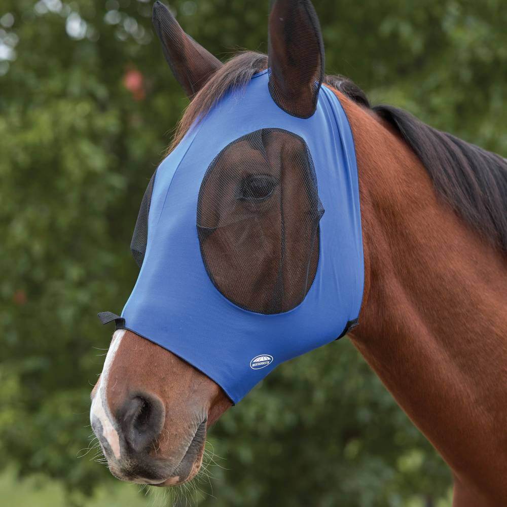 A horse outdoors wears a Weatherbeeta Deluxe Stretch Bug Eye Saver with Ears in royal blue.