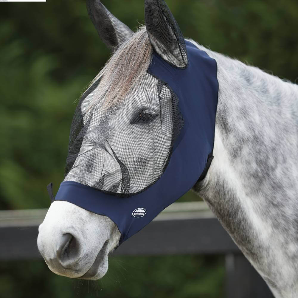 Gray horse outdoors in a Weatherbeeta Deluxe Stretch Eye Saver With Ears in Navy/Black.