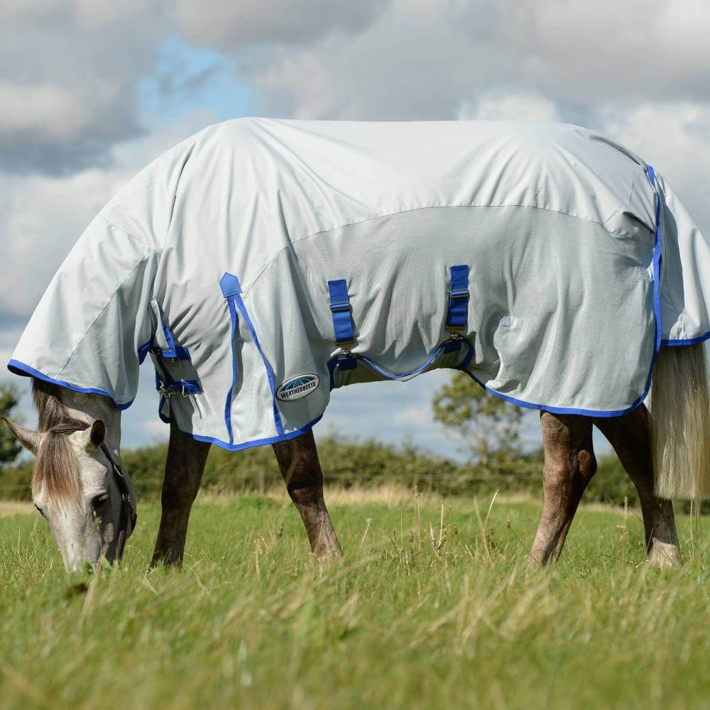 A horse in a Weatherbeeta Comfitec 600D/Mesh II Combo Neck grazes in a grassy field.