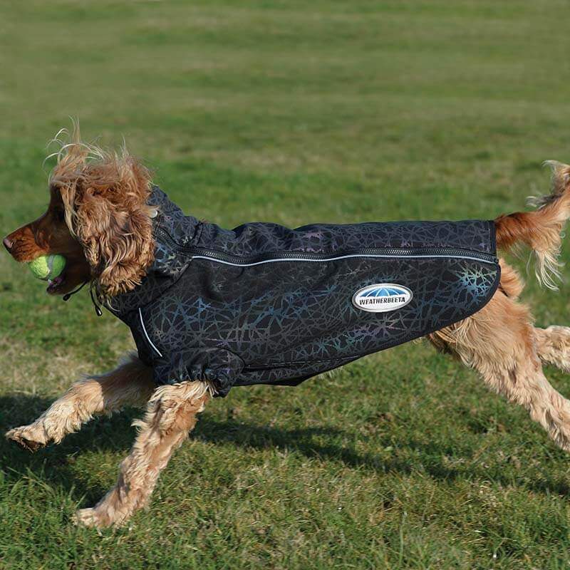A dog in a Weatherbeeta Comfitec Reflective Print Dog Coat runs on grass with a tennis ball.