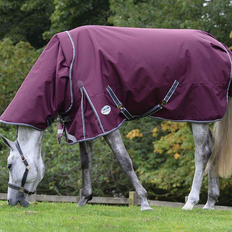Grey horse in a Weatherbeeta Comfitec Plus Dynamic II Heavy grazes in a grassy, tree-lined field.