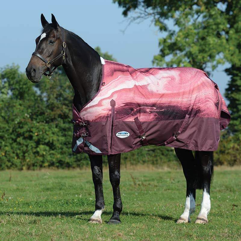 A black horse in a Weatherbeeta medium burgundy swirl marble print turnout stands on grass.
