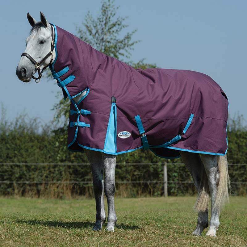 A gray horse in a Weatherbeeta Comfitec Essential Combo Neck rug, grape purple/blue, on grass.