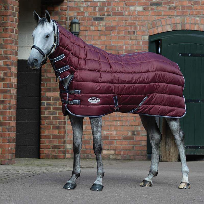 Grey horse in maroon Weatherbeeta Comfitec 210D rug stands by brick building and green door.