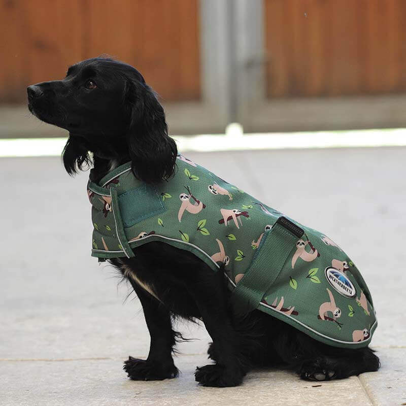 Black dog in a Weatherbeeta Comfitec Premier Free Parka Sloth Print coat sits on a light floor.