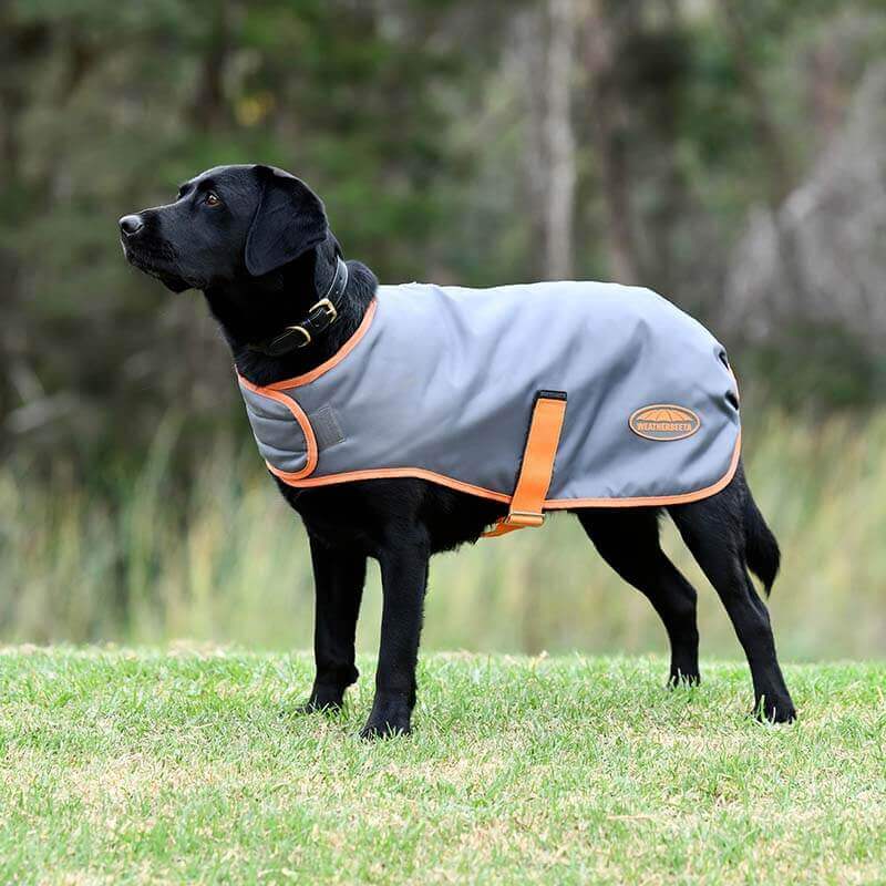 Weatherbeeta Comfitec Windbreaker Free Dog Coat Gunmetal/Coral