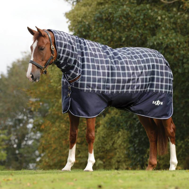 Chestnut horse wearing Saxon Defiant 600D Combo Neck Heavy Weight Navy Plaid on grass with trees.