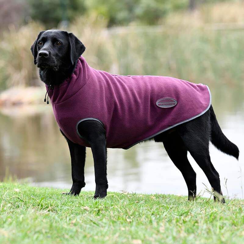 Weatherbeeta Comfitec Fleece Zip Dog Coat Maroon/Grey-Pet n Pony-Weatherbeeta