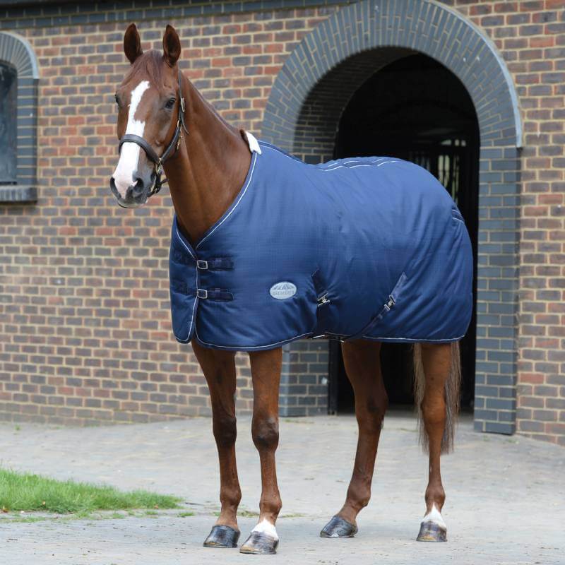 A brown horse in a Weatherbeeta 1200D navy/white rug stands on paving by a brick building.