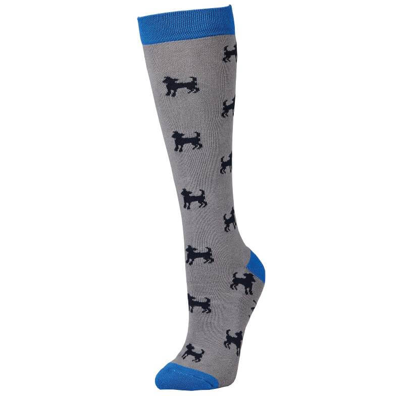 Dublin Single Pack Socks Cobalt Dog Adults One Size-Pet n Pony-Dublin