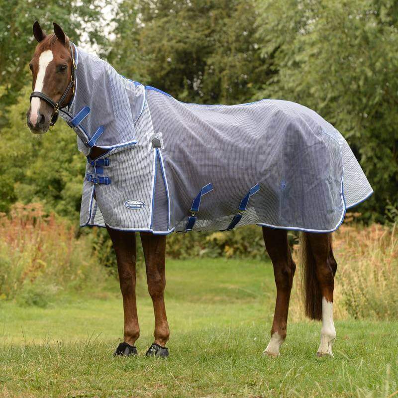 A horse in a Weatherbeeta Comfitec Ripshield Plus enjoys top fly protection on grassy pasture.