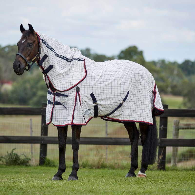Dark brown horse in a Weatherbeeta Summer Sheet Lite IV Combo Neck, standing in a grassy field.